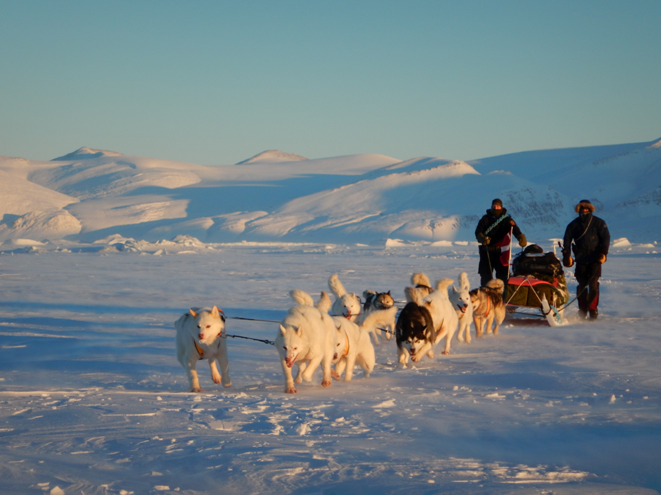 Sirius Dog Sled Team Stuck at Base