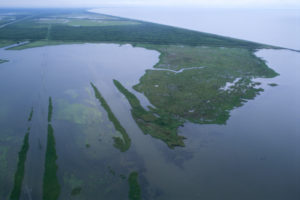 Aerial view of wetlands and open water in NWR