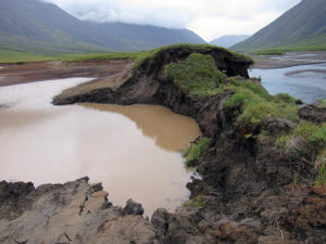 Permafrost Thaw