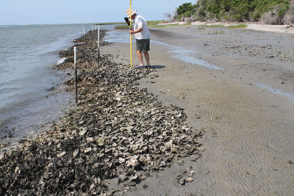 living-shoreline-in-nc-john-englander-sea-level-rise-expert