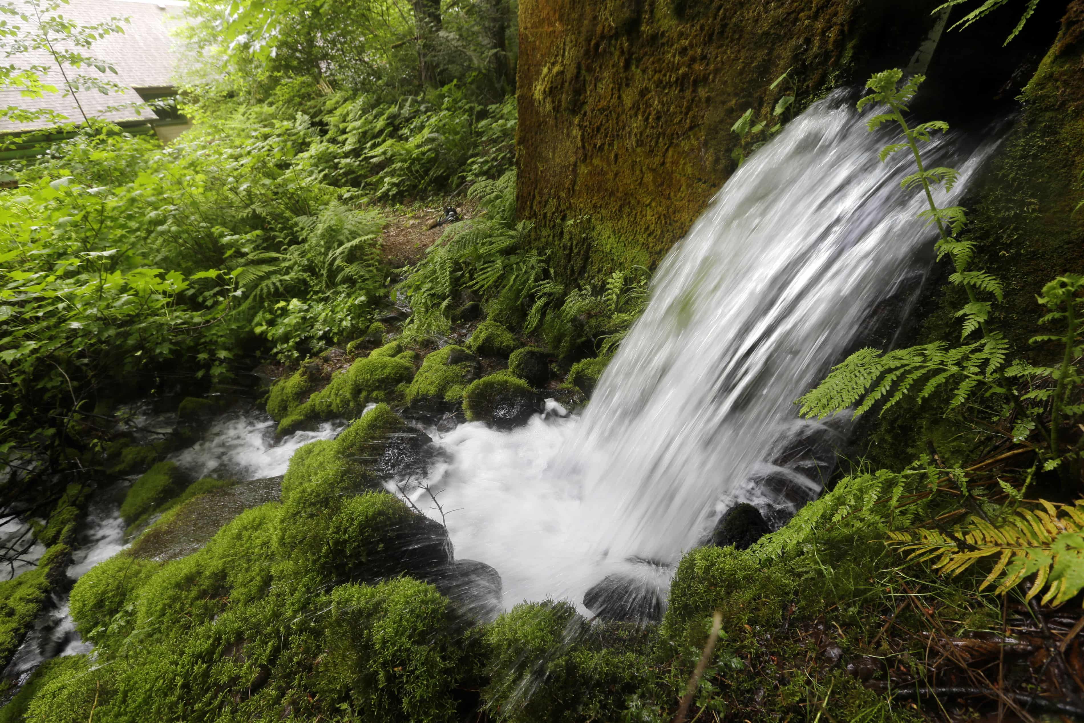 Natural springs