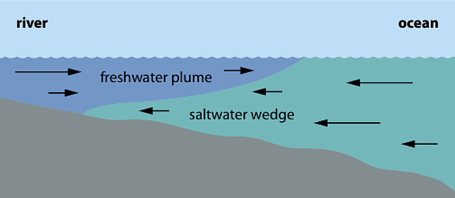 Unatoiry Distance Throwing Rod Freshwater Saltwater Sea River
