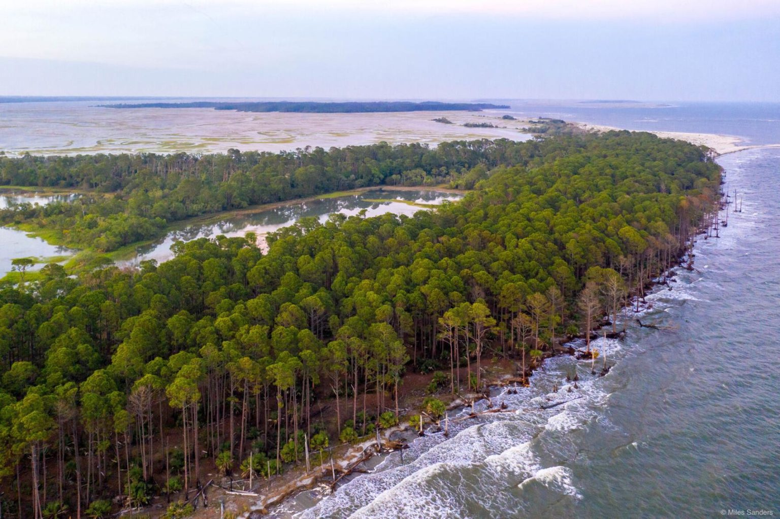 Barrier Island Eco Tours in South Carolina: Explore Pristine Ecosystems ...