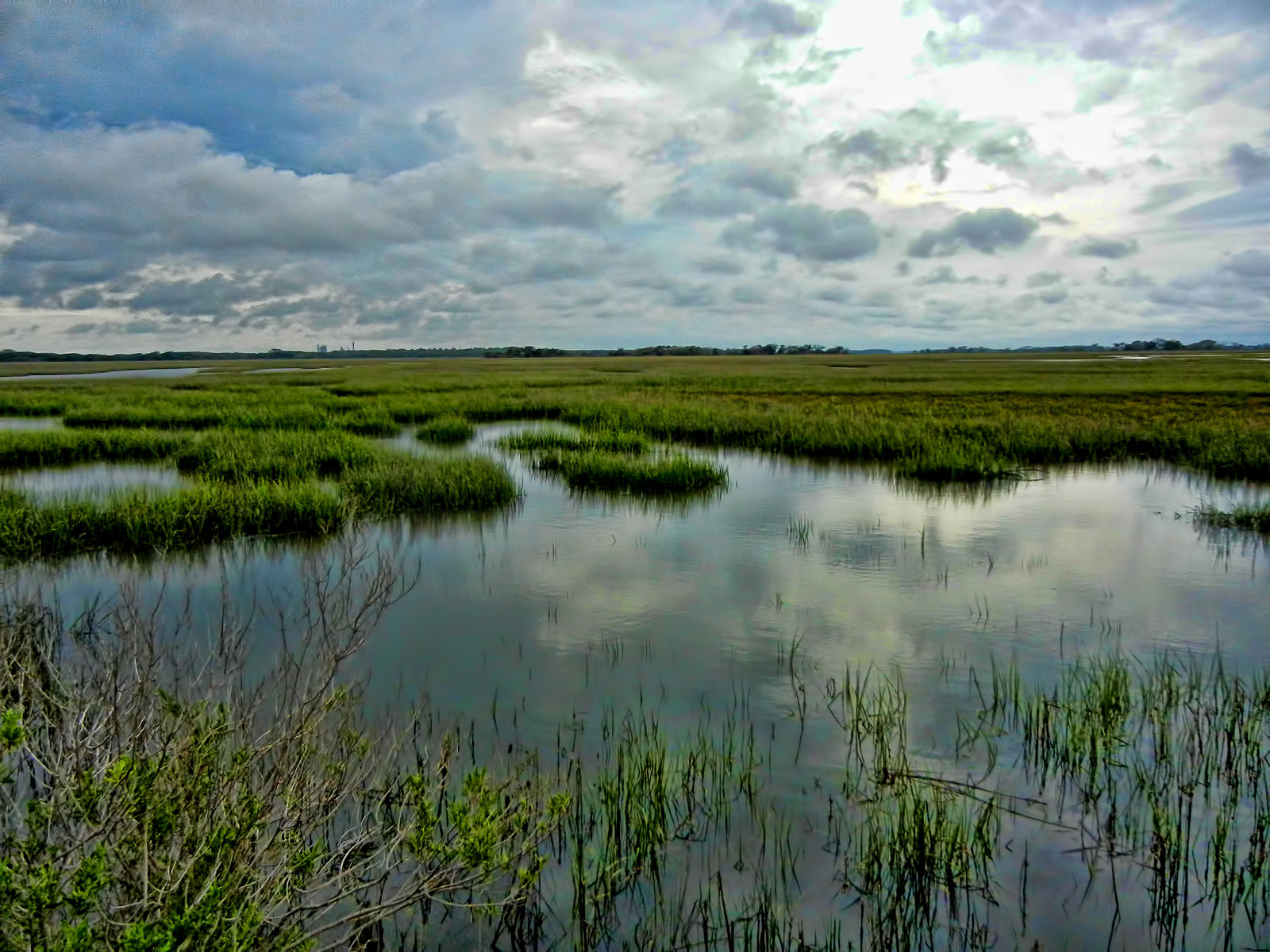 rising-sea-levels-drown-coastal-marshes-wetlands-texas-a-m-today